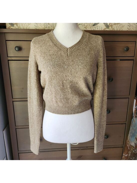 American Eagle Outfitters Sweaters - American Eagle Outfitters V-Neck Sweater in Tan